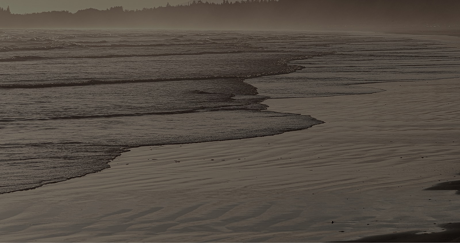 Gentle waves lapping at a serene shoreline.